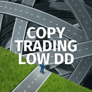 Copy Trading Low DD