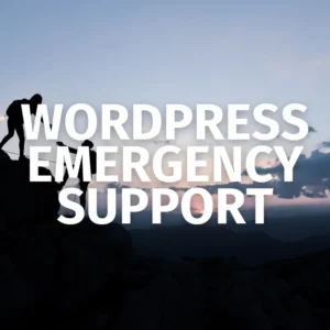 Fast and Reliable WordPress Emergency Support & Bug Fixing